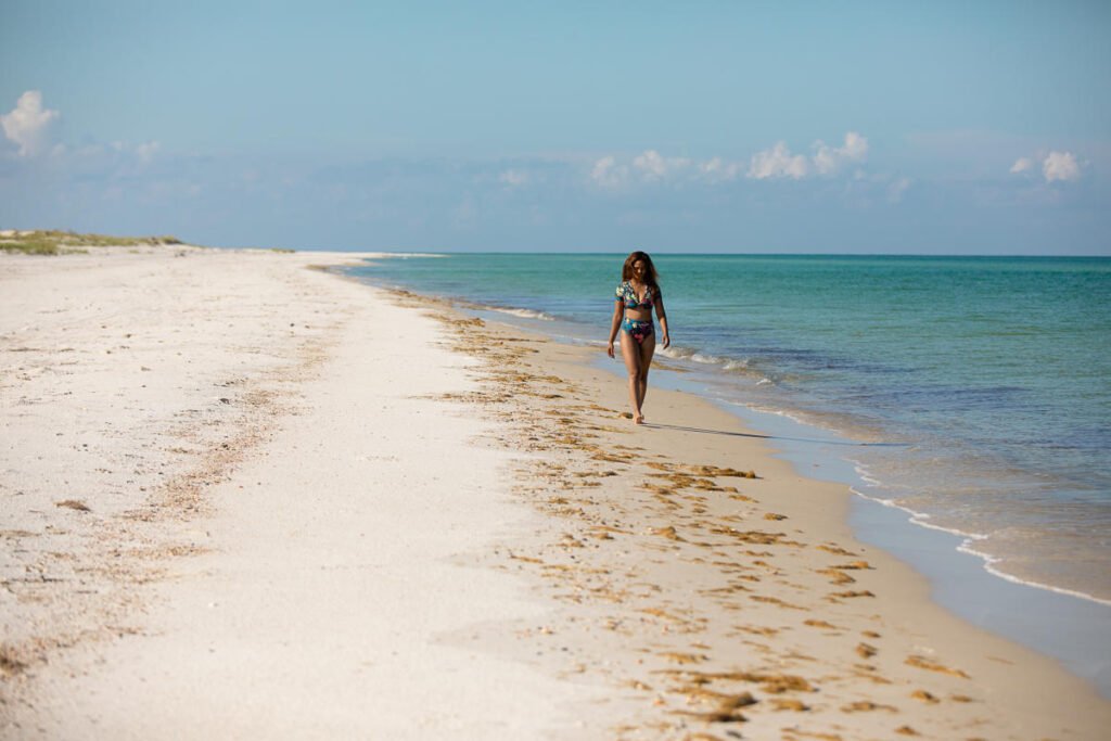 Discover Stunning Beaches Near Tallahassee, FL: Your Ultimate Guide