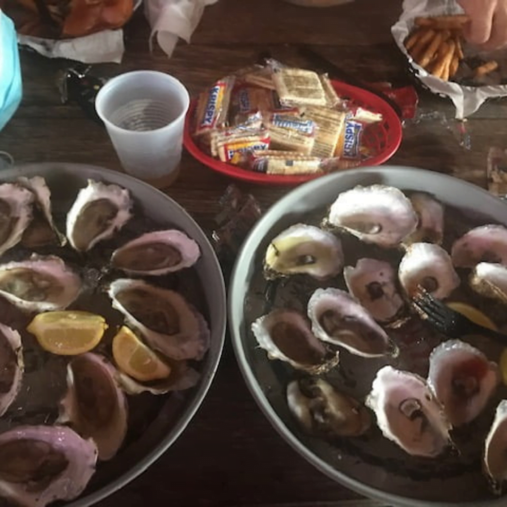 Oysters at Birds