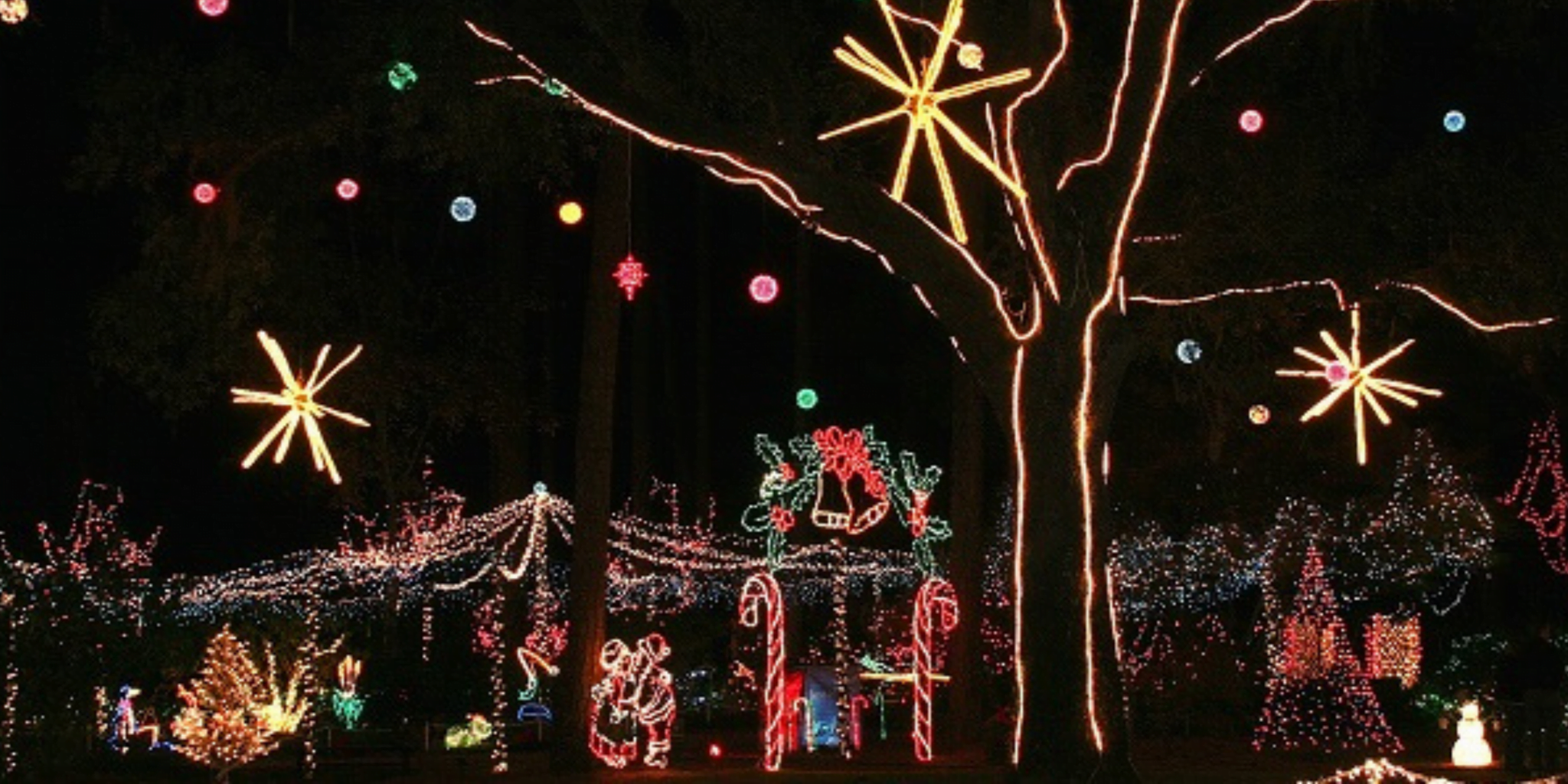 Christmas Lights in Tallahassee •