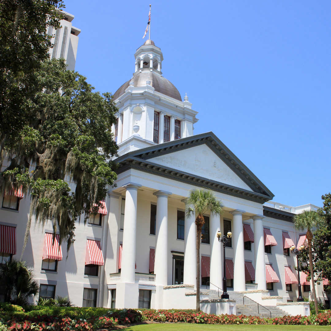 Side angle view of Florida State Capitol building, which is white, with red and white striped window treatments. A green tree is in the foreground on the left and a blue sky in the background.