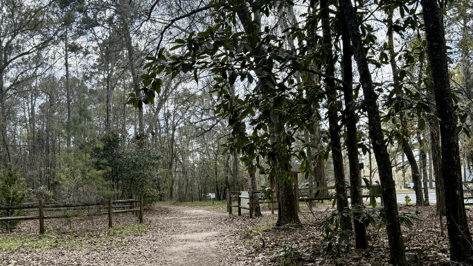 Entrance to the Lake Overstreet/Maclay Gardens trail system when entering by the Forest Meadows Recreation Center, featuring trees for shade and a dirt path.