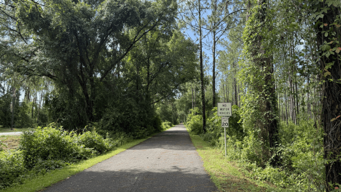 Stretch of paved St. Mark's Trail path, for running, walking and biking, on a sunny summer day