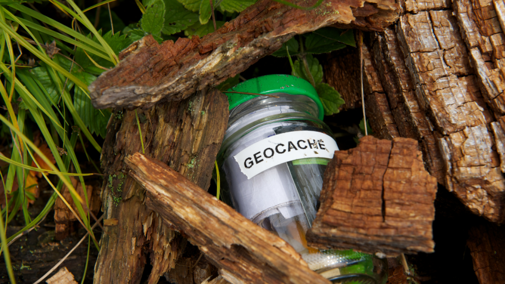 Geocache hidden in a woodsy setting