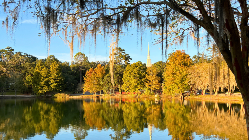 Lake Ella sunset in Tallahassee